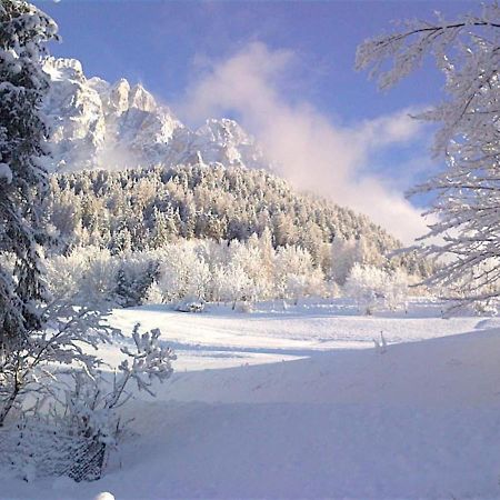 Luxury Panoramic 3Br Apt 2Min To Centre 5Min To Lifts Cortina dʼAmpezzo Eksteriør billede