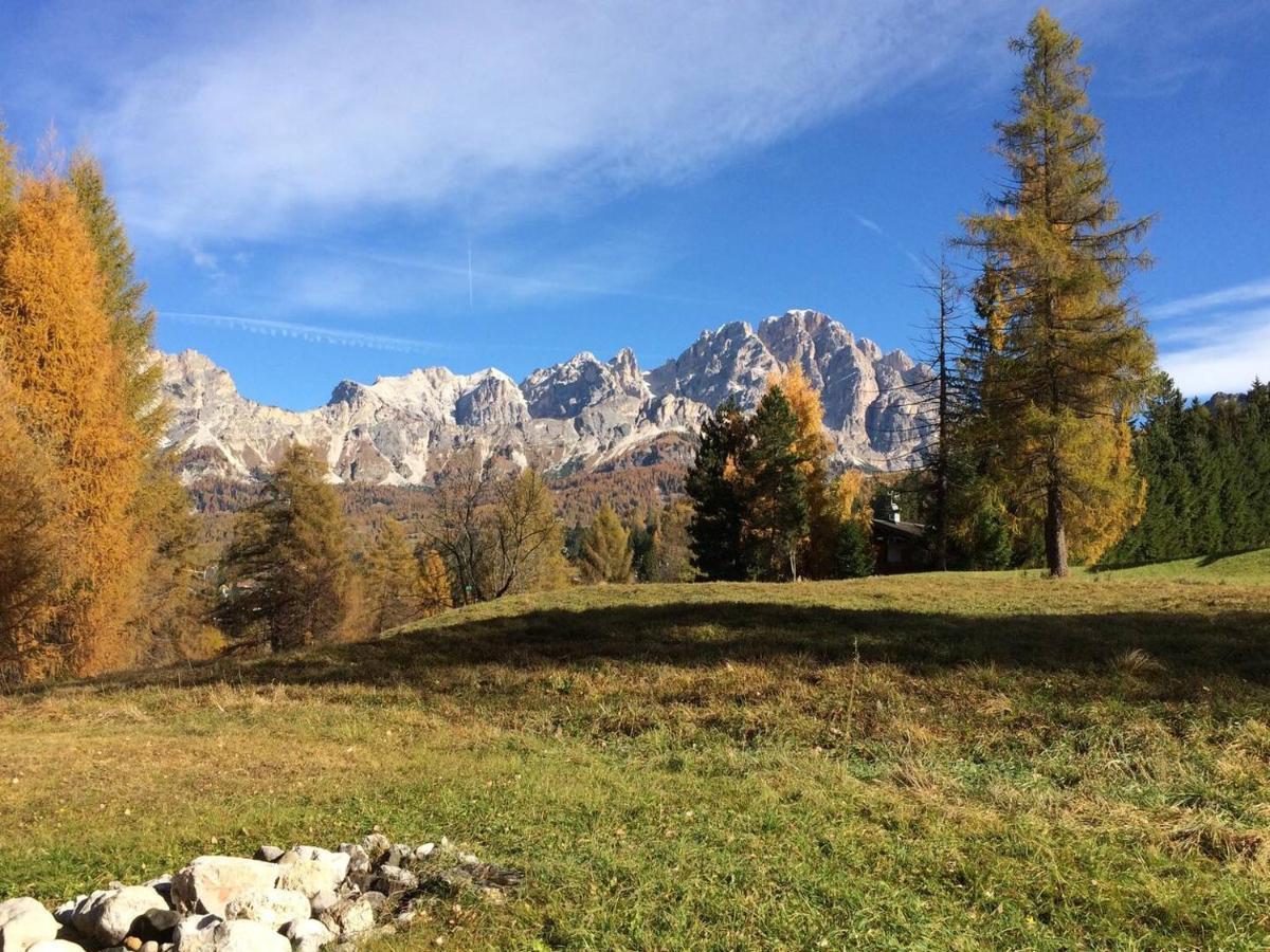 Luxury Panoramic 3Br Apt 2Min To Centre 5Min To Lifts Cortina dʼAmpezzo Eksteriør billede