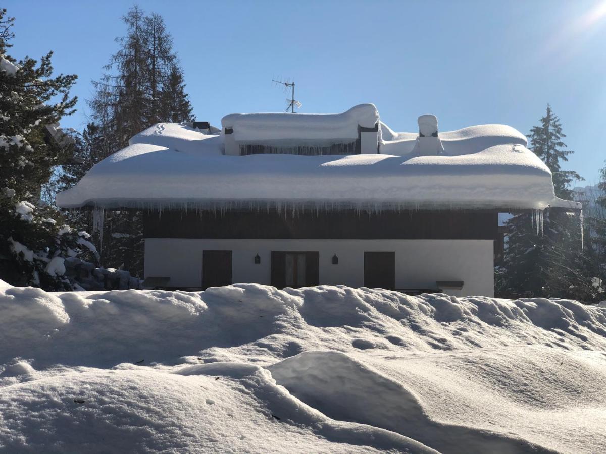 Luxury Panoramic 3Br Apt 2Min To Centre 5Min To Lifts Cortina dʼAmpezzo Eksteriør billede