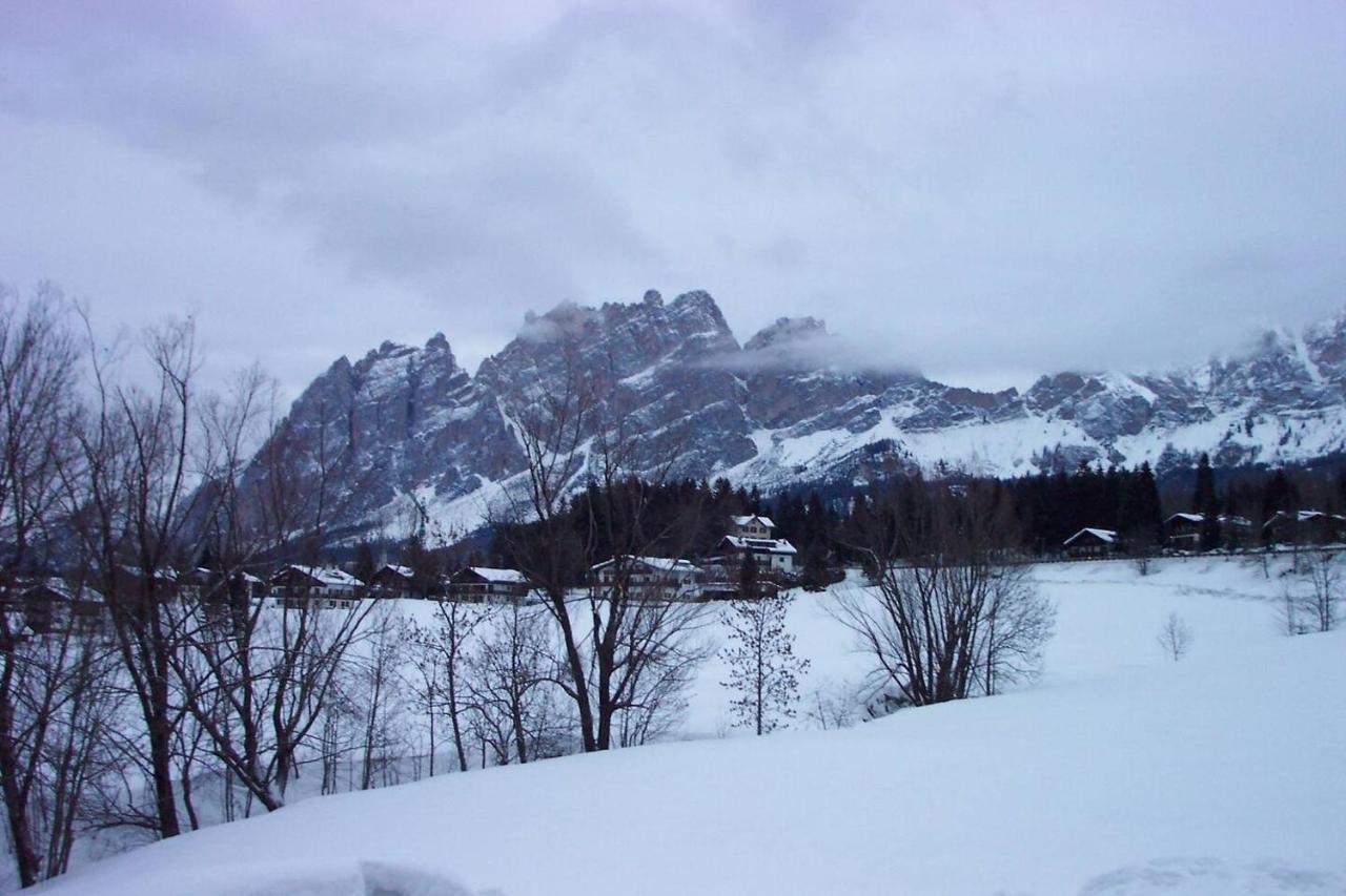 Luxury Panoramic 3Br Apt 2Min To Centre 5Min To Lifts Cortina dʼAmpezzo Eksteriør billede