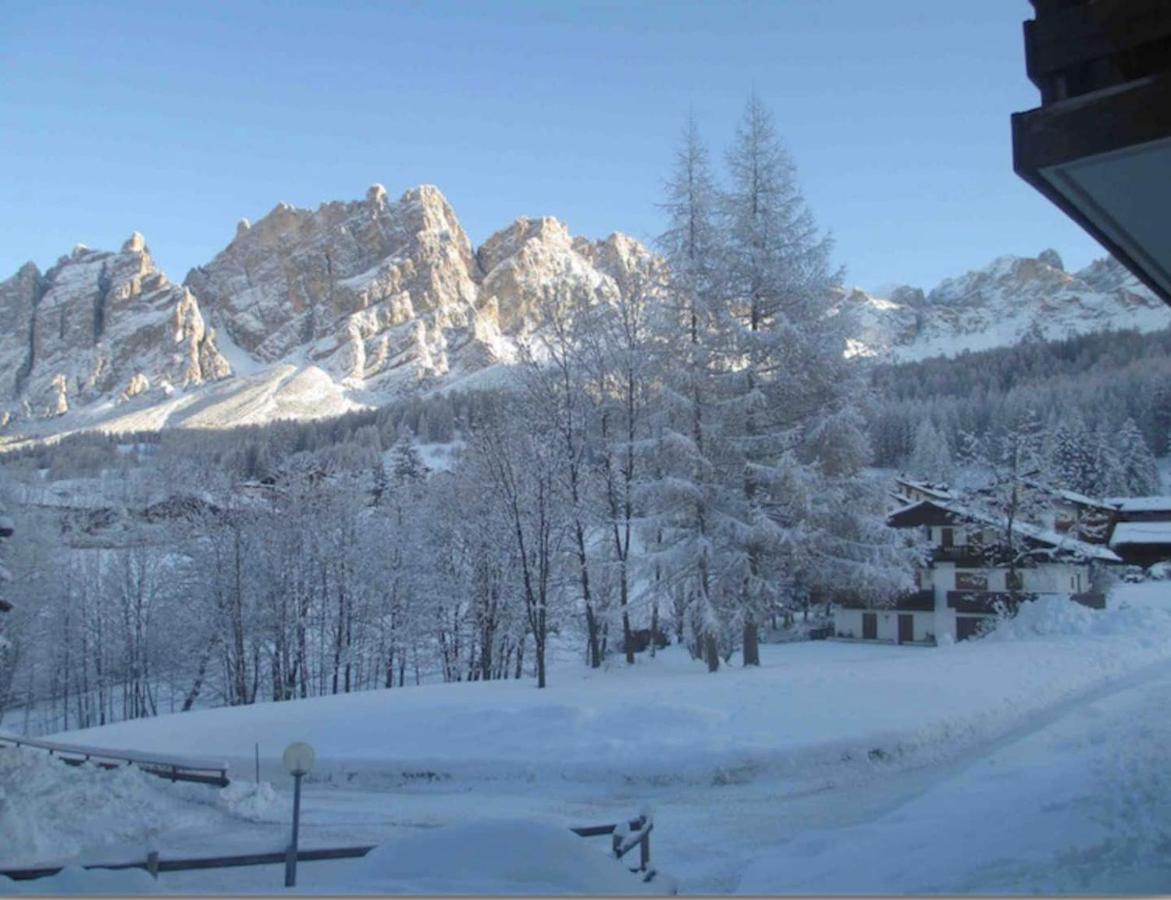 Luxury Panoramic 3Br Apt 2Min To Centre 5Min To Lifts Cortina dʼAmpezzo Eksteriør billede