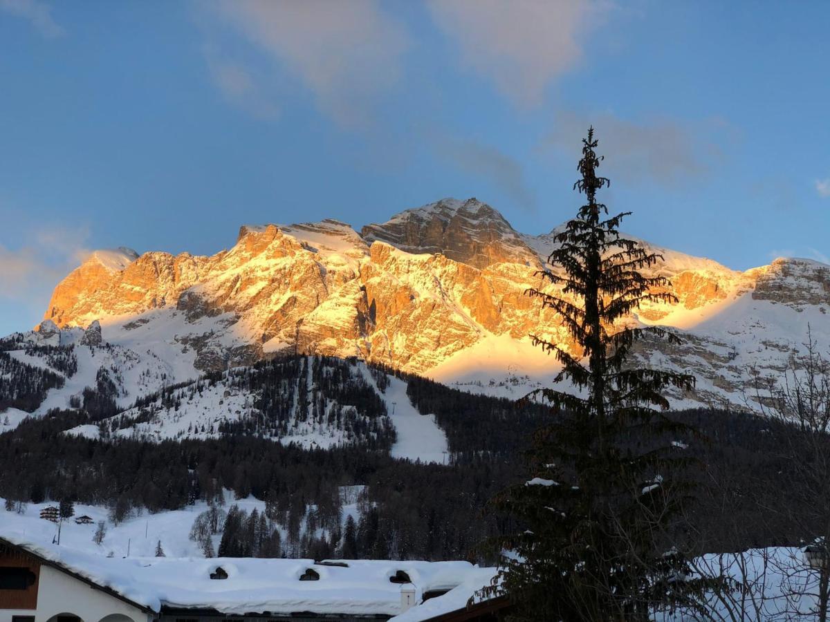 Luxury Panoramic 3Br Apt 2Min To Centre 5Min To Lifts Cortina dʼAmpezzo Eksteriør billede
