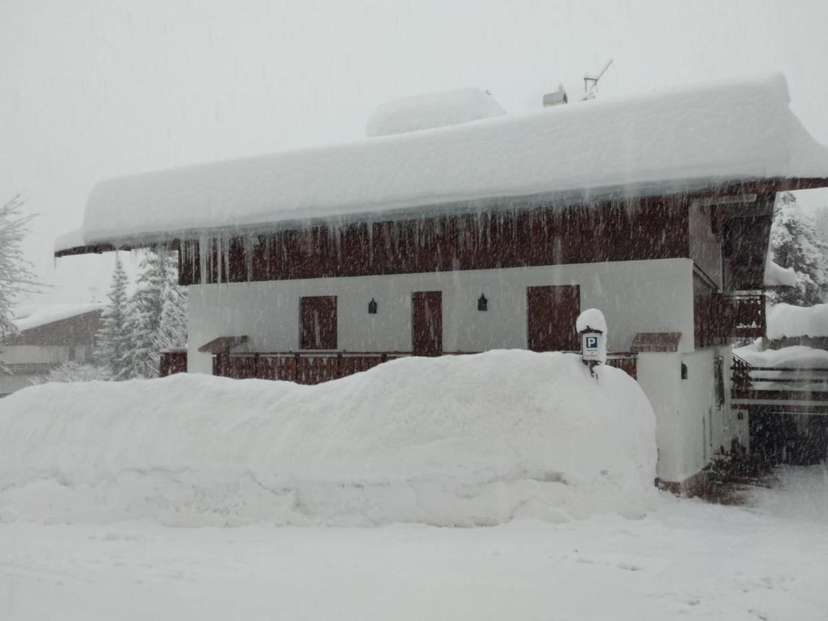 Luxury Panoramic 3Br Apt 2Min To Centre 5Min To Lifts Cortina dʼAmpezzo Eksteriør billede