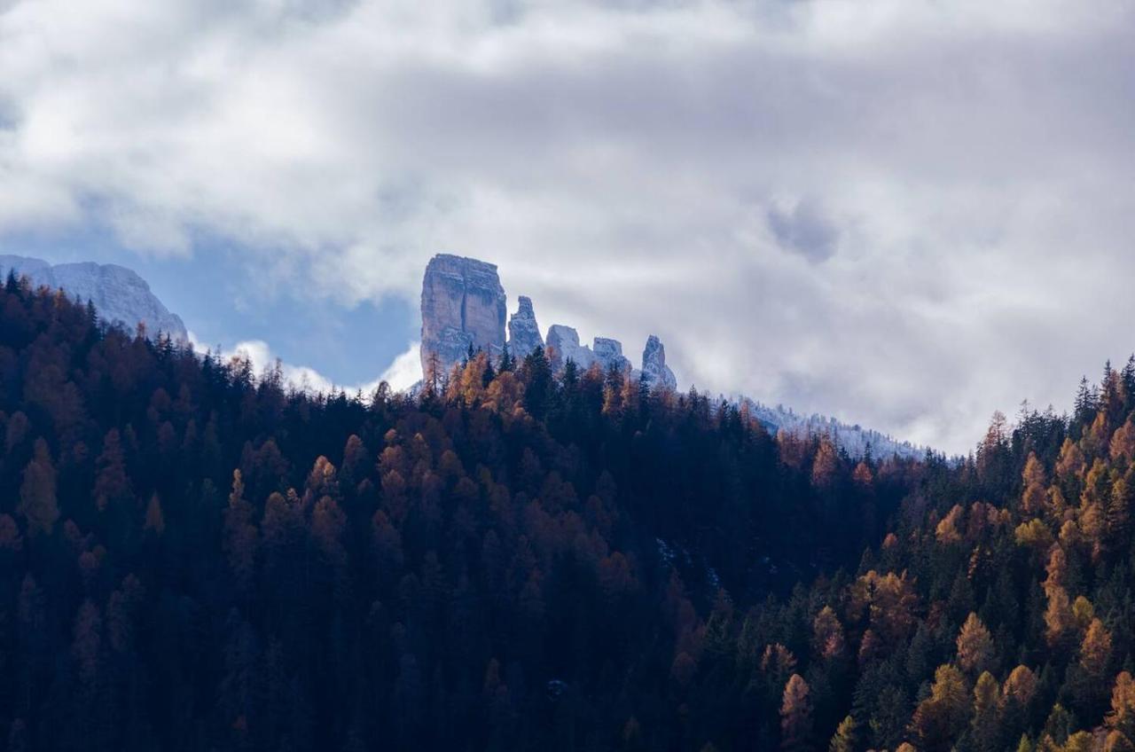Luxury Panoramic 3Br Apt 2Min To Centre 5Min To Lifts Cortina dʼAmpezzo Eksteriør billede