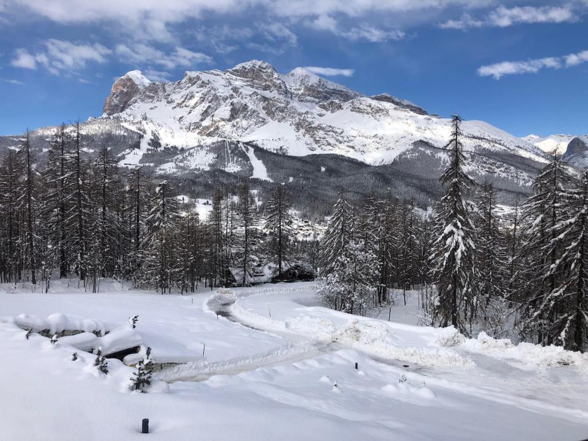 Luxury Panoramic 3Br Apt 2Min To Centre 5Min To Lifts Cortina dʼAmpezzo Eksteriør billede